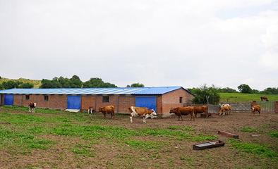 禁牧區(qū)牧民贊國策，生態(tài)與生計(jì)雙贏的新篇章