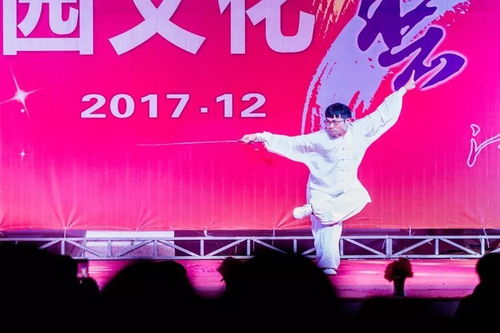 第28屆文化藝術節文藝匯演獲獎名單揭曉 文化交流活動成果斐然